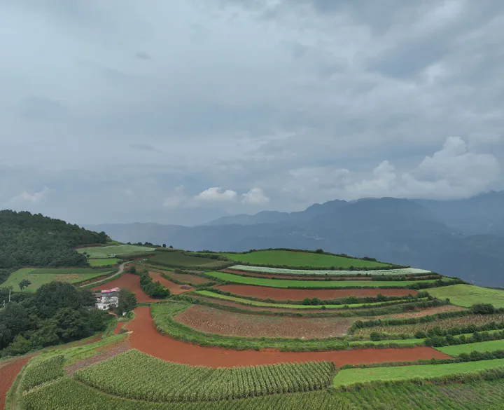东川红土地