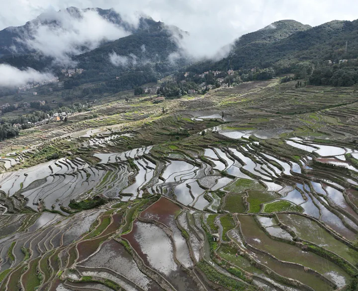 元阳哈尼梯田